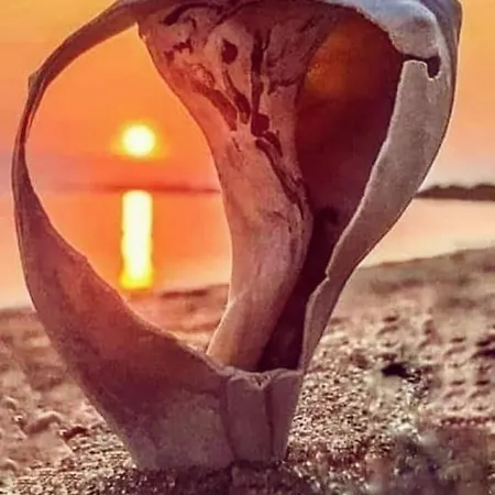 Delta Palace Hotel 3*