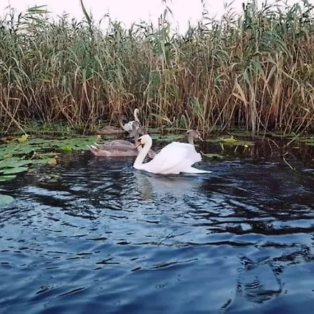 Delta Palace Hotel Sulina
