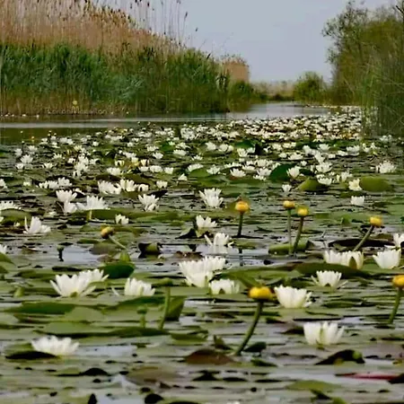 Delta Palace Hotel Sulina