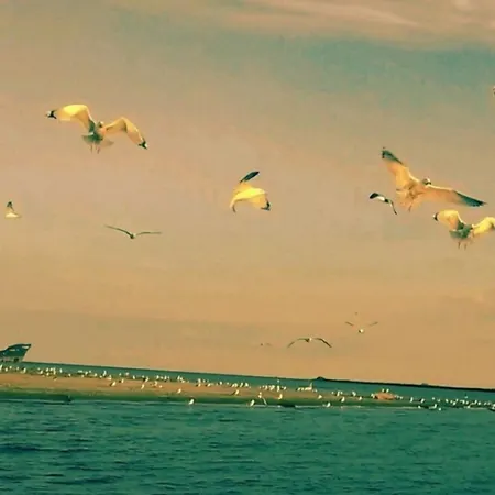 Delta Palace 3* Sulina