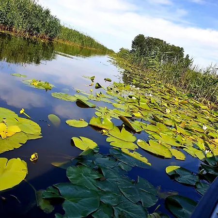 Delta Palace Hotel 3*