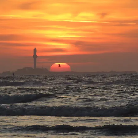 Otel Delta Palace 3*