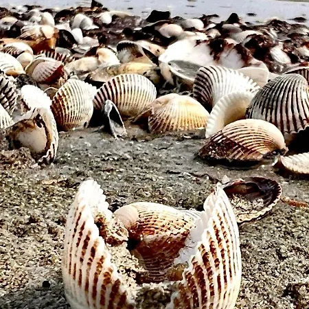 Delta Palace Otel Sulina